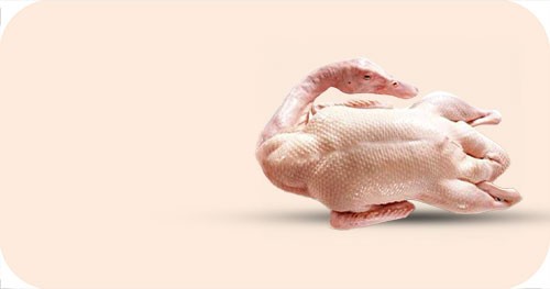 China duck Meat