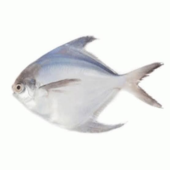 Rupchada fish