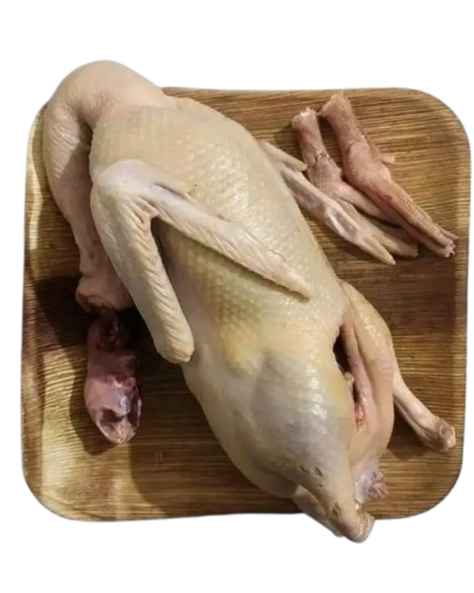 Deshi Duck-দেশি পাতি হাঁস