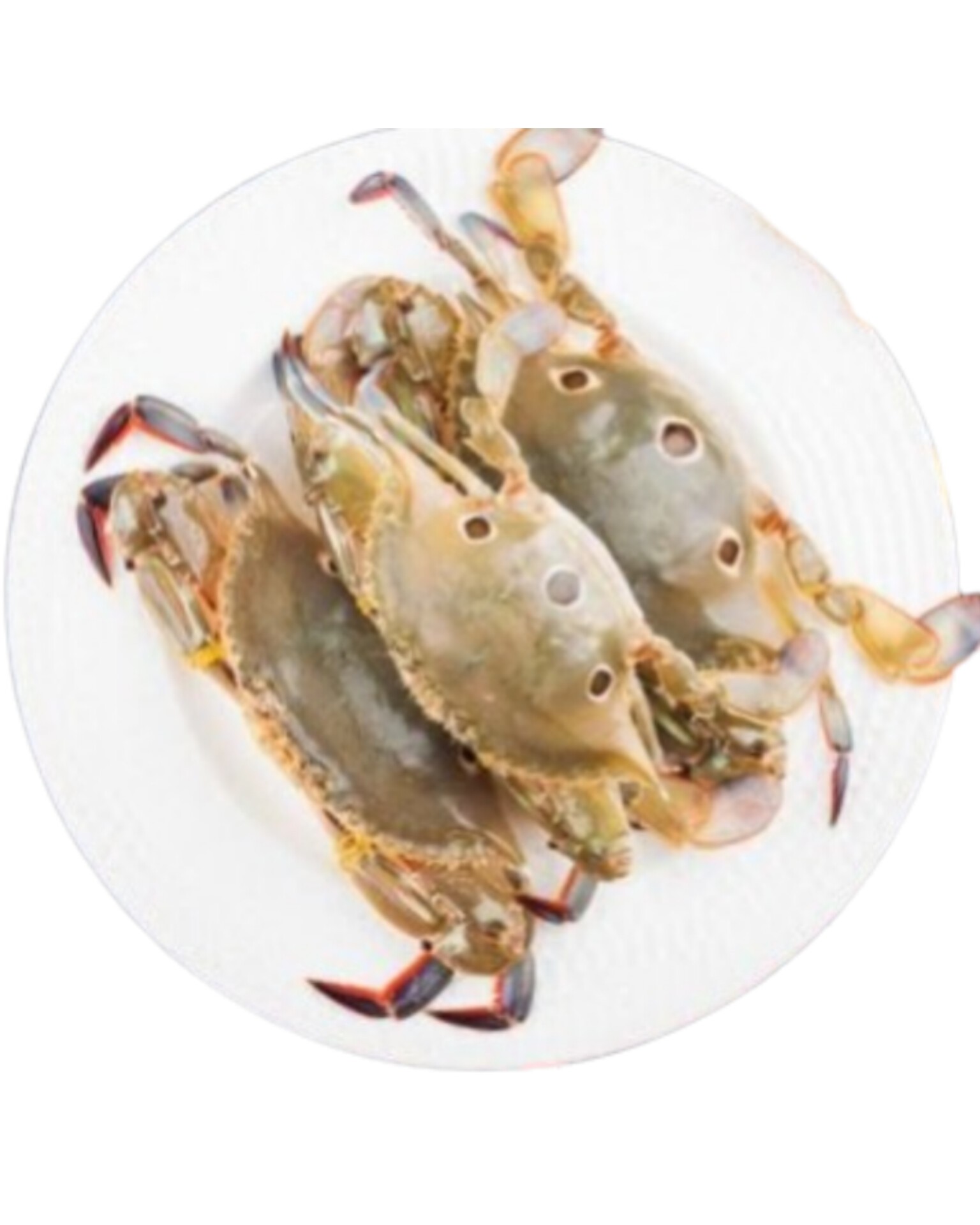 Three Spot crab